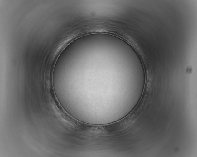 X0000111610386200907311144