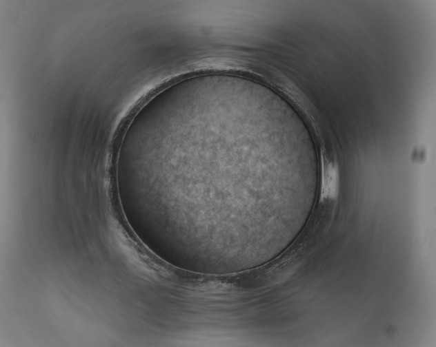 X0000111610387200907311144