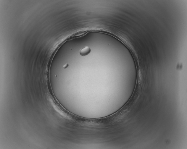 X0000111610389200907311144