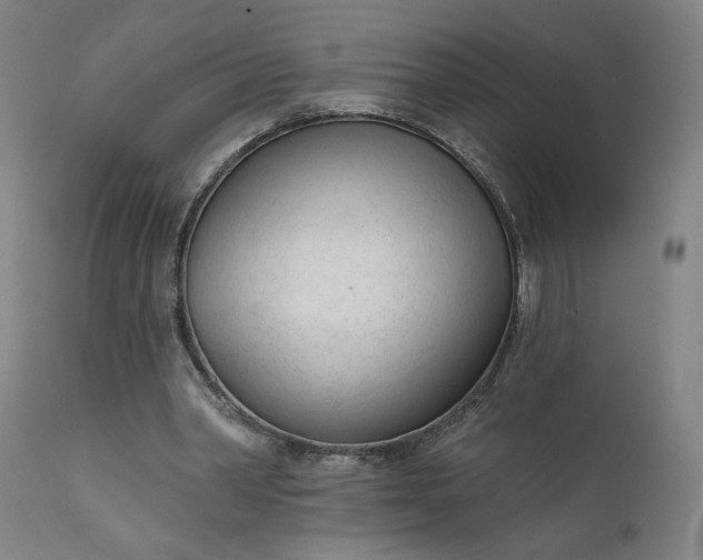 X0000111610390200907311144