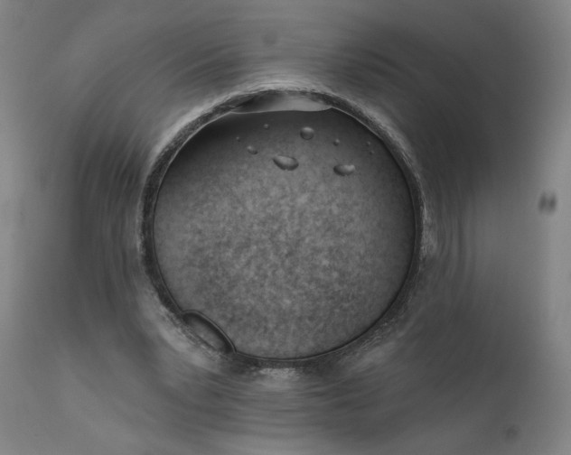 X0000111610391200907311144