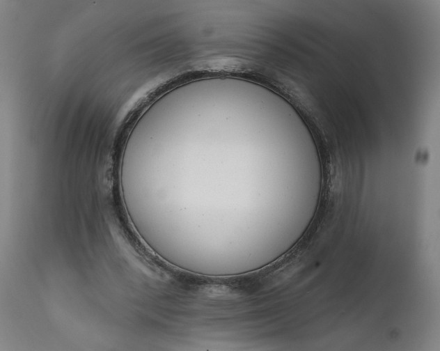 X0000111610392200907311144