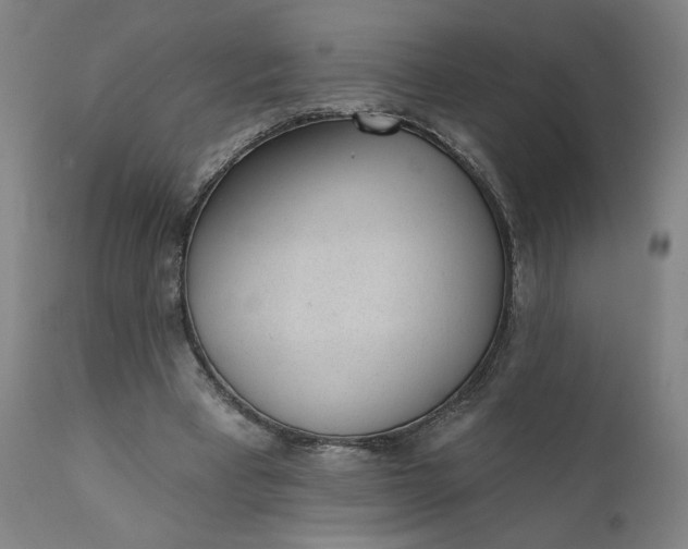 X0000111610393200907311144