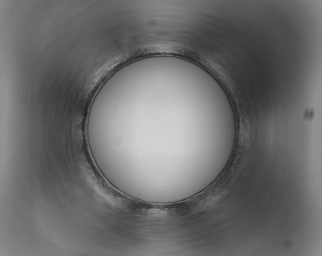 X0000111610394200907311144