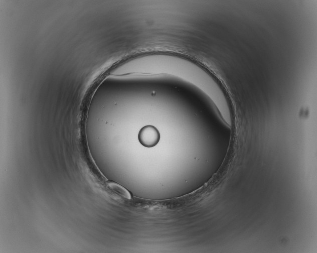 X0000111610395200907311144