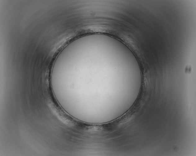 X0000111610398200907311144