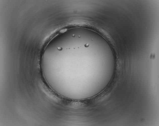 X0000111610399200907311144