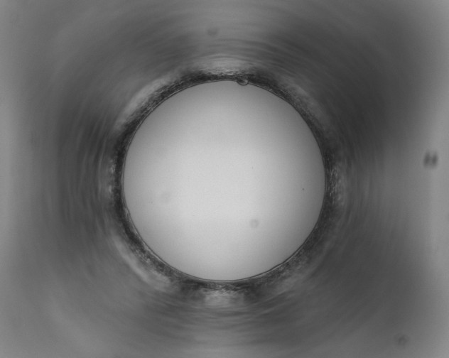 X0000111610400200907311144