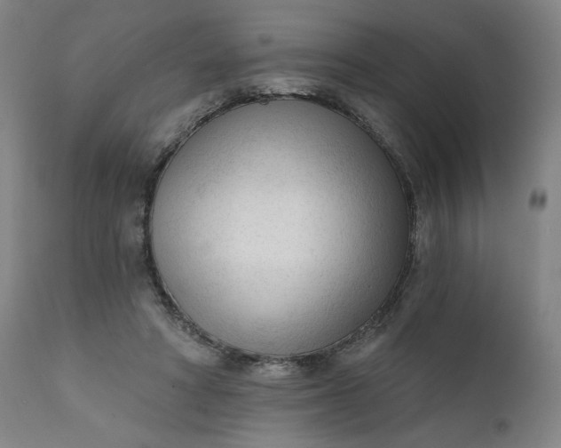 X0000111610402200907311144