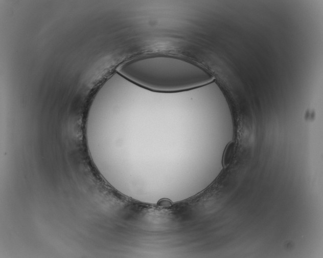 X0000111610403200907311144