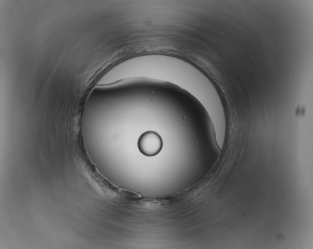 X0000111610405200907311144