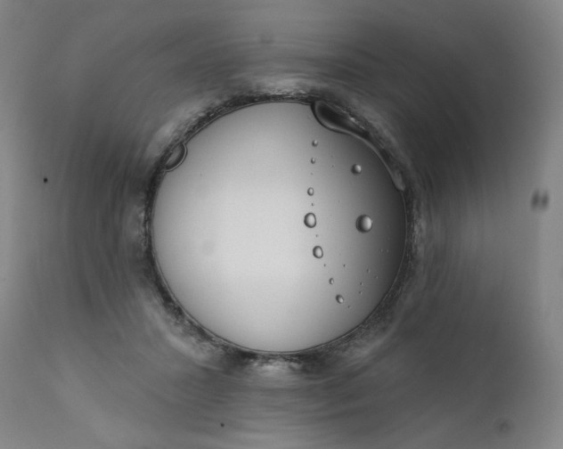 X0000111610407200907311143