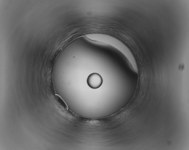 X0000111610409200907311143