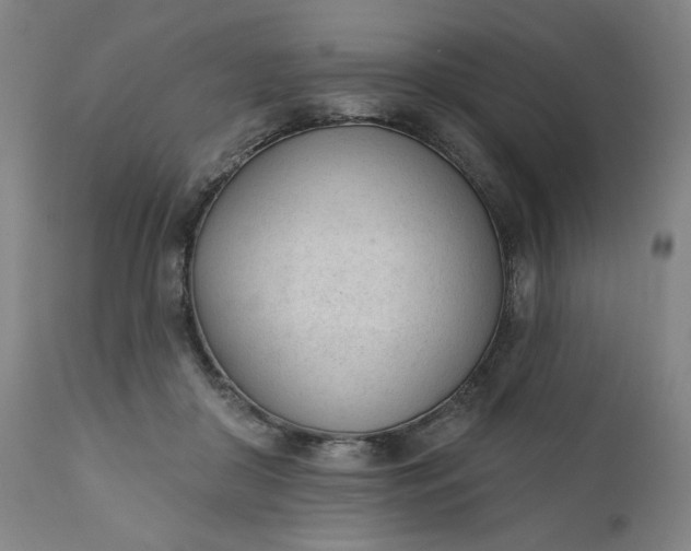 X0000111610410200907311143