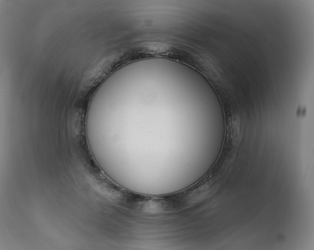 X0000111610412200907311143