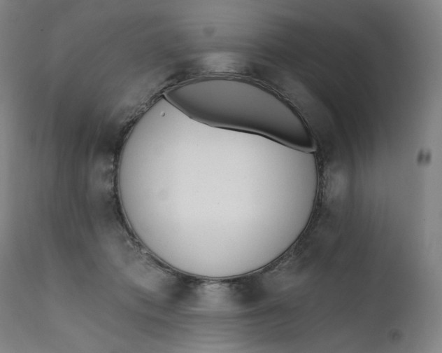 X0000111610413200907311143