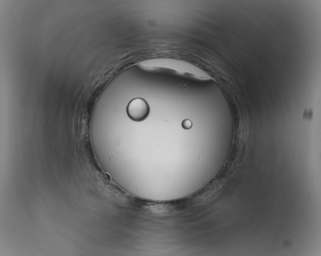 X0000111610417200907311143