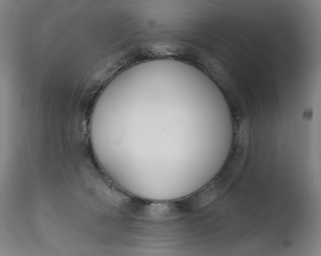 X0000111610418200907311143