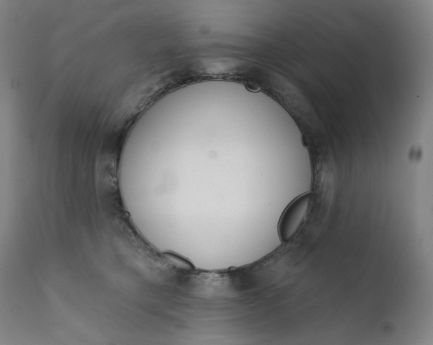 X0000111610421200907311143