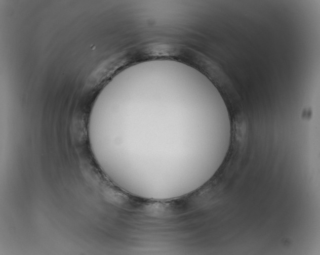 X0000111610422200907311143