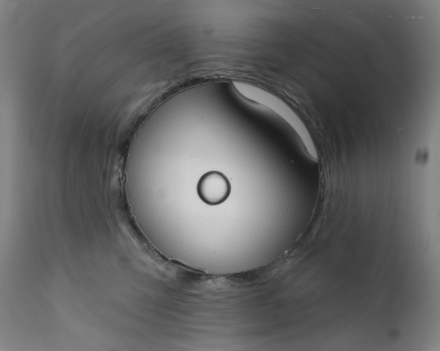 X0000111610423200907311143