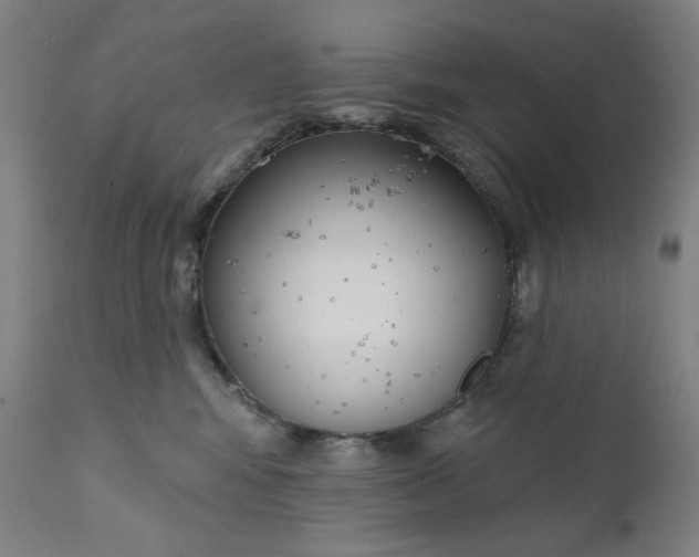 X0000111610424200907311143