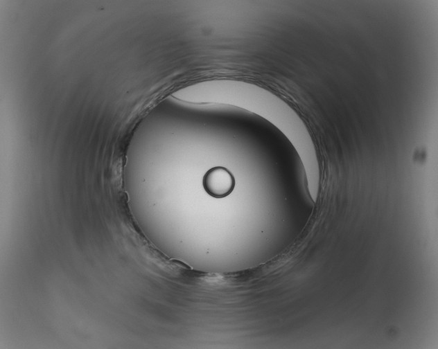 X0000111610425200907311143