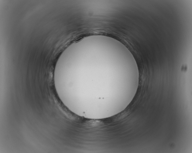 X0000111610427200907311143