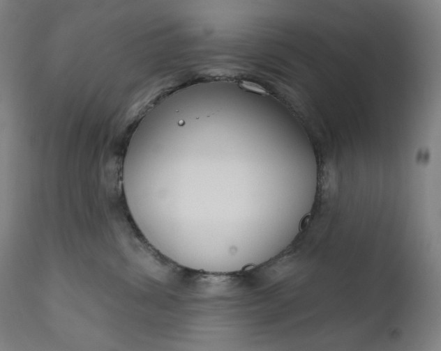 X0000111610428200907311143