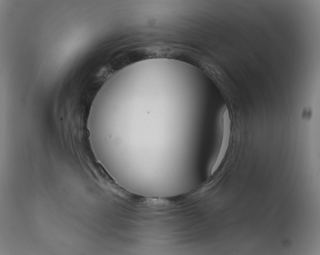 X0000111610429200907311143