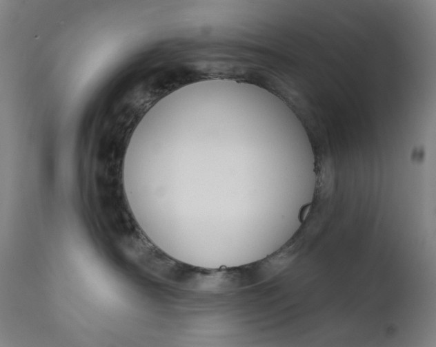 X0000111610430200907311143