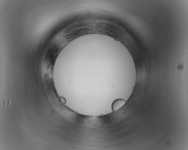 X0000111610431200907311143