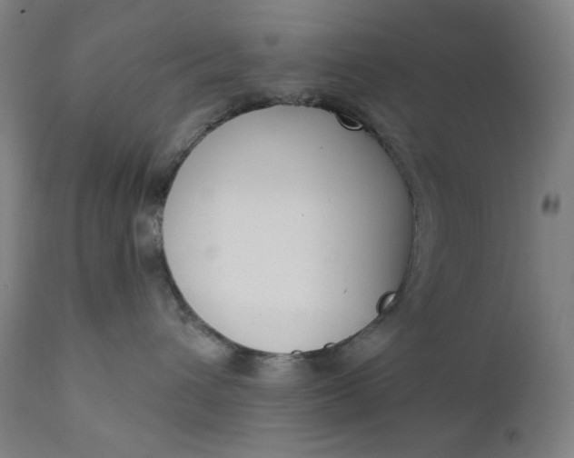 X0000111610432200907311143