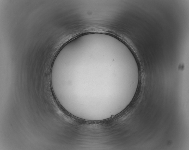 X0000111610433200907311142