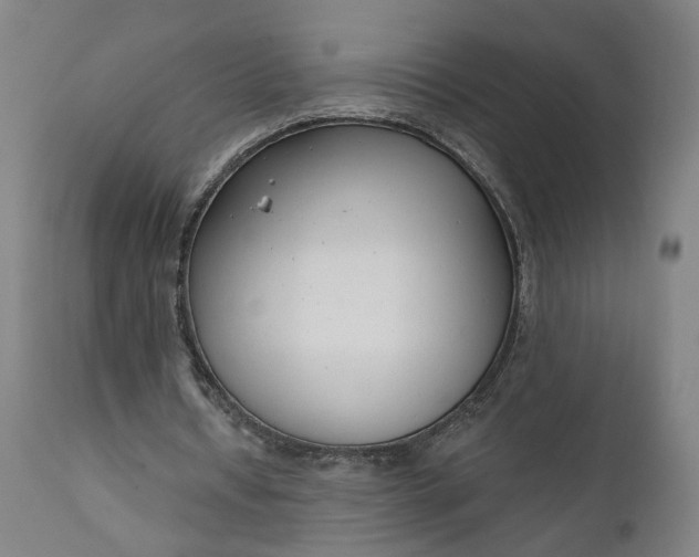 X0000111610434200907311142