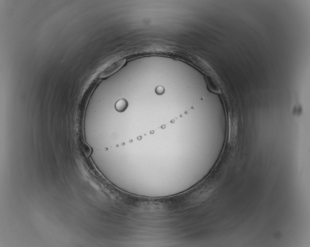 X0000111610435200907311142