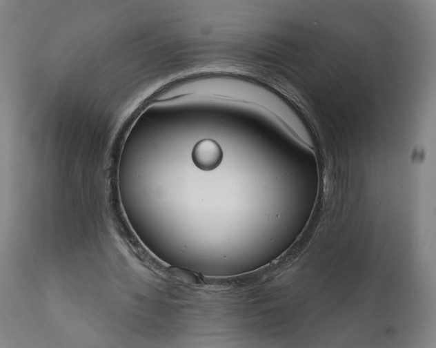 X0000111610436200907311142