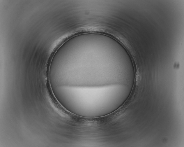 X0000111610438200907311142