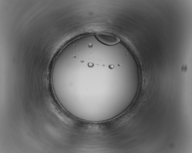 X0000111610439200907311142