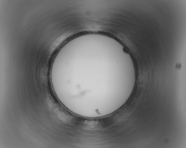 X0000111610440200907311142