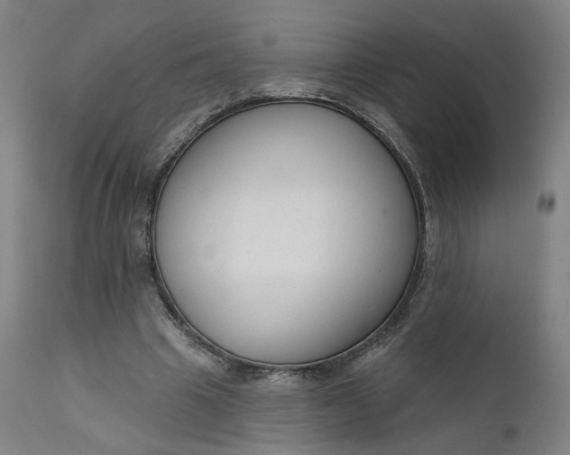 X0000111610441200907311142