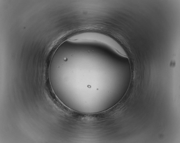 X0000111610444200907311143