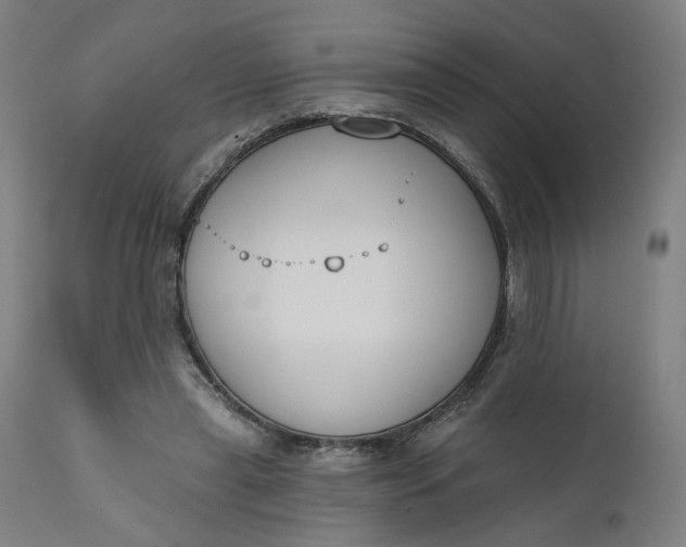 X0000111610445200907311143