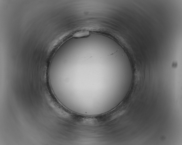 X0000111610446200907311143