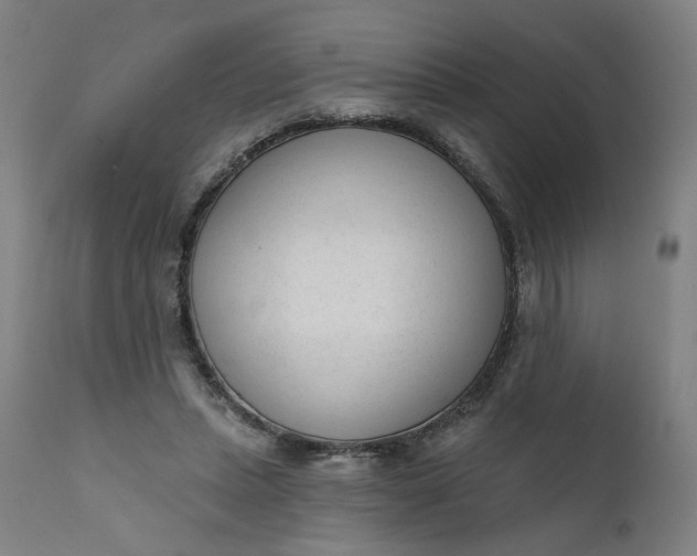 X0000111610447200907311143