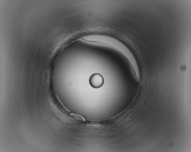 X0000111610448200907311143