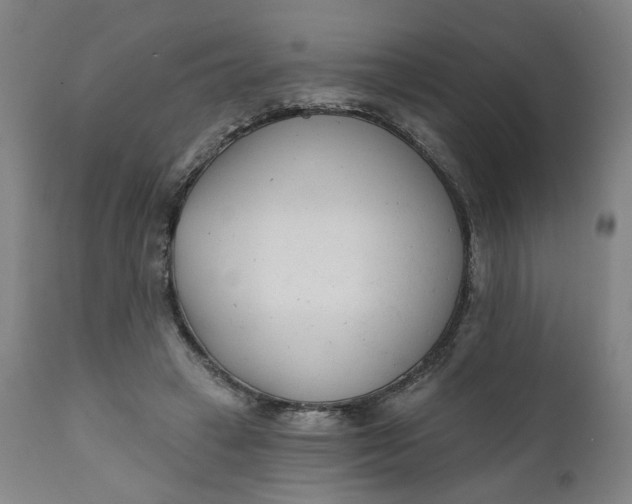 X0000111610449200907311143