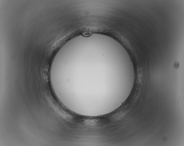 X0000111610450200907311143