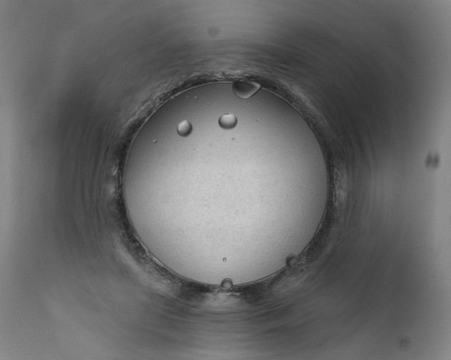 X0000111610451200907311143