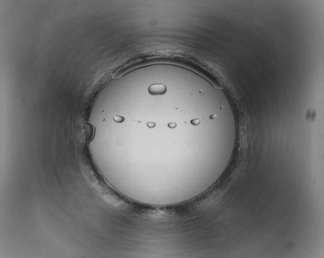 X0000111610453200907311143